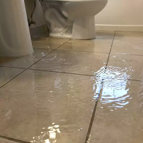 Expert Flooded Bathroom Restoration in Deerfield Beach, FL 