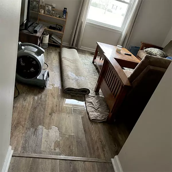 Water Restoration in Deerfield Beach, FL