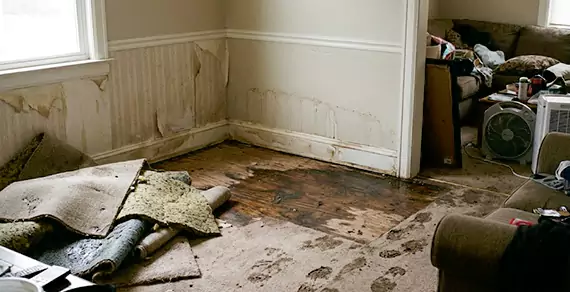 Why Choose DFB Water Damage For Water Damage Restoration Services in Deerfield Beach, FL?