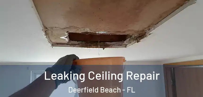  Leaking Ceiling Repair Deerfield Beach - FL
