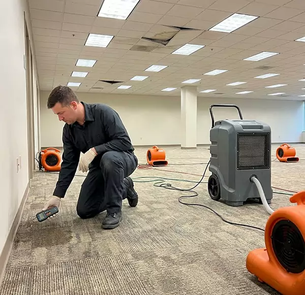 Why Businesses Choose DFB Water Damage for Commercial Water Damage in Deerfield Beach, FL?