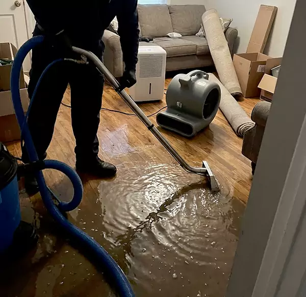 Why Homeowners & Businesses Choose DFB Water Damage for Flood Cleanup in Deerfield Beach, FL?