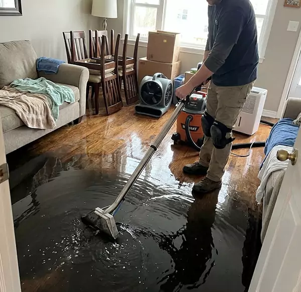 Why Homeowners & Businesses Choose DFB Water Damage for Flood Restoration in Deerfield Beach, FL?