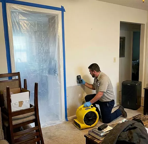 Why Homeowners & Businesses Choose DFB Water Damage for Water Remediation in Deerfield Beach, FL?