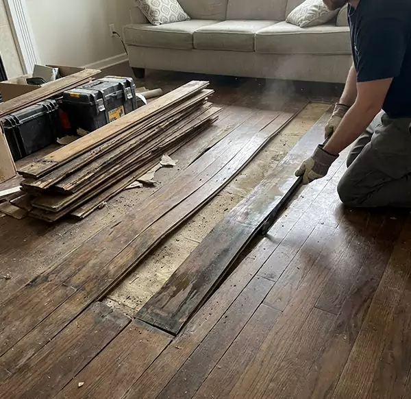 Why Choose DFB Water Damage for Wood Floor Water Damage Repair in Deerfield Beach, FL?